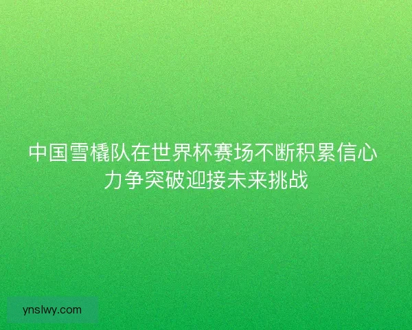 中国雪橇队在世界杯赛场不断积累信心 力争突破迎接未来挑战