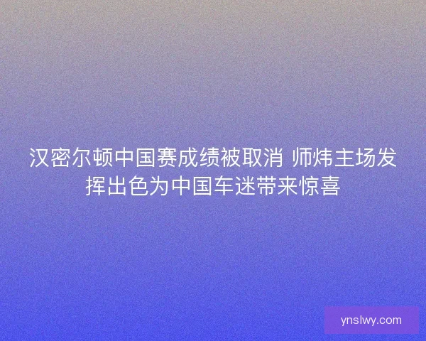 汉密尔顿中国赛成绩被取消 师炜主场发挥出色为中国车迷带来惊喜